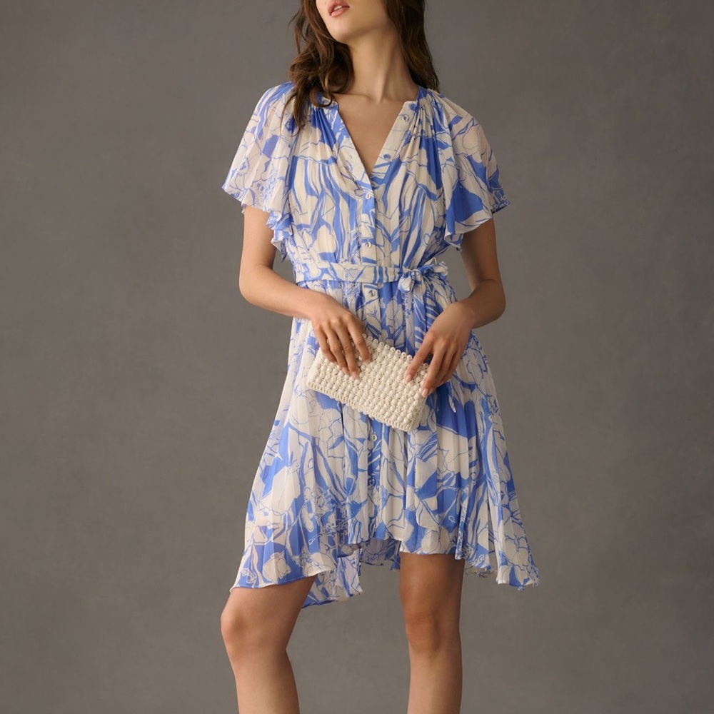 Anthropologie V-Neck Ruffle Sleeve Pleated Dress